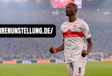 teilnehmer: vfb stuttgart spiele