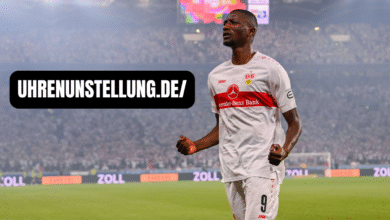 teilnehmer: vfb stuttgart spiele