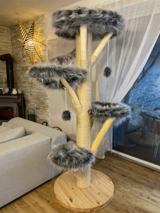 Kratzbaum herausgewachsen